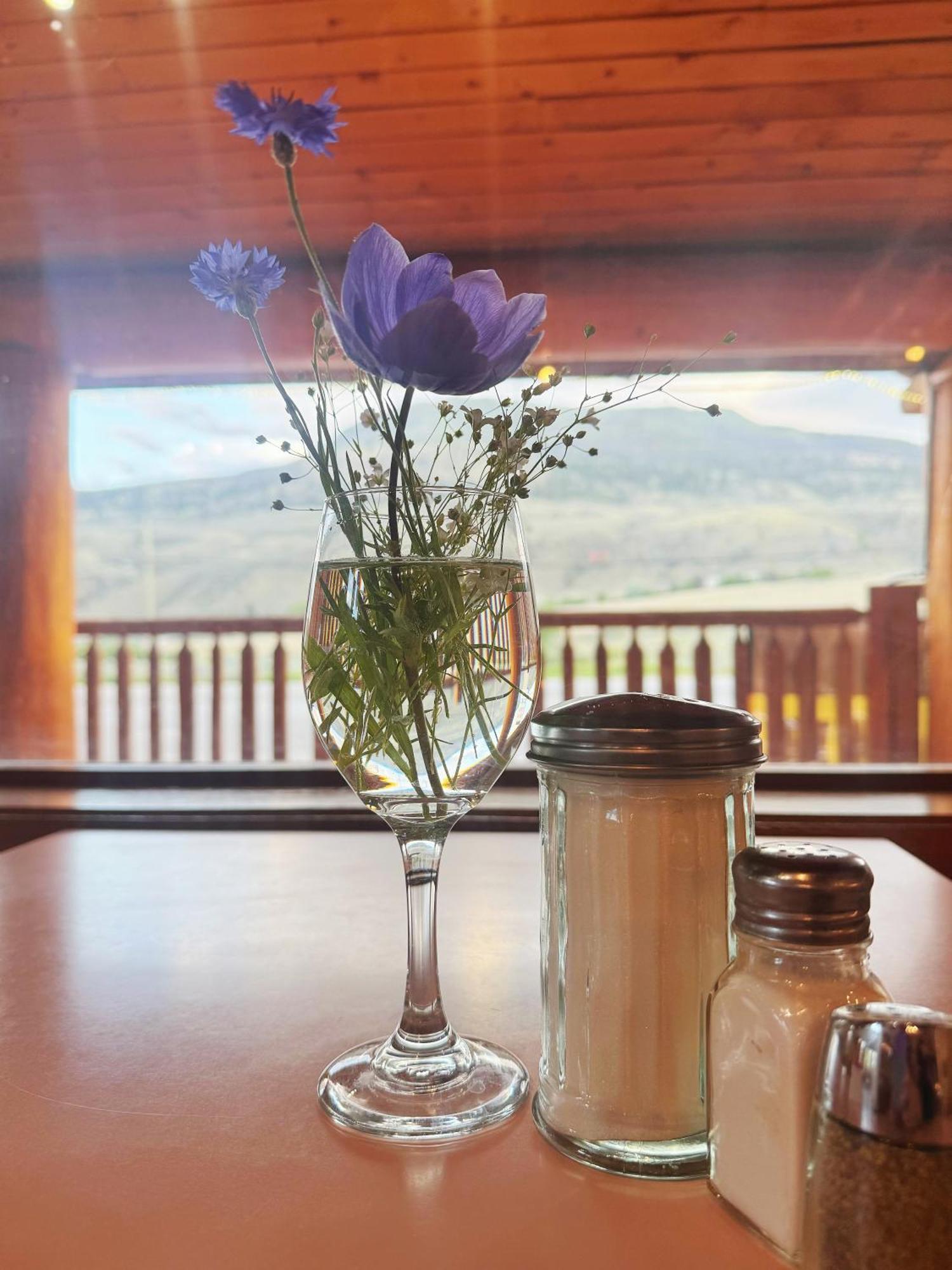 Bear'S Claw Lodge Cache Creek Extérieur photo
